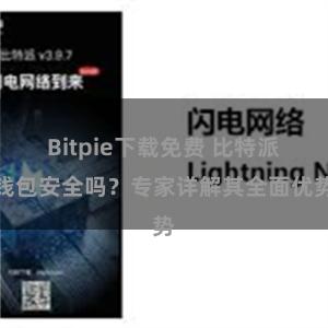 Bitpie下载免费 比特派钱包安全吗？专家详解其全面优势