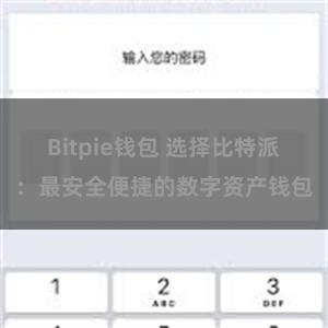 Bitpie钱包 选择比特派：最安全便捷的数字资产钱包