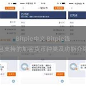 Bitpie中文 Bitpie钱包支持的加密货币种类及功能介绍