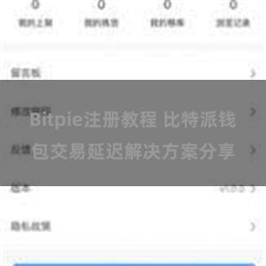 Bitpie注册教程 比特派钱包交易延迟解决方案分享