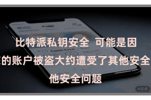 比特派私钥安全  可能是因为您的账户被盗大约遭受了其他安全问题